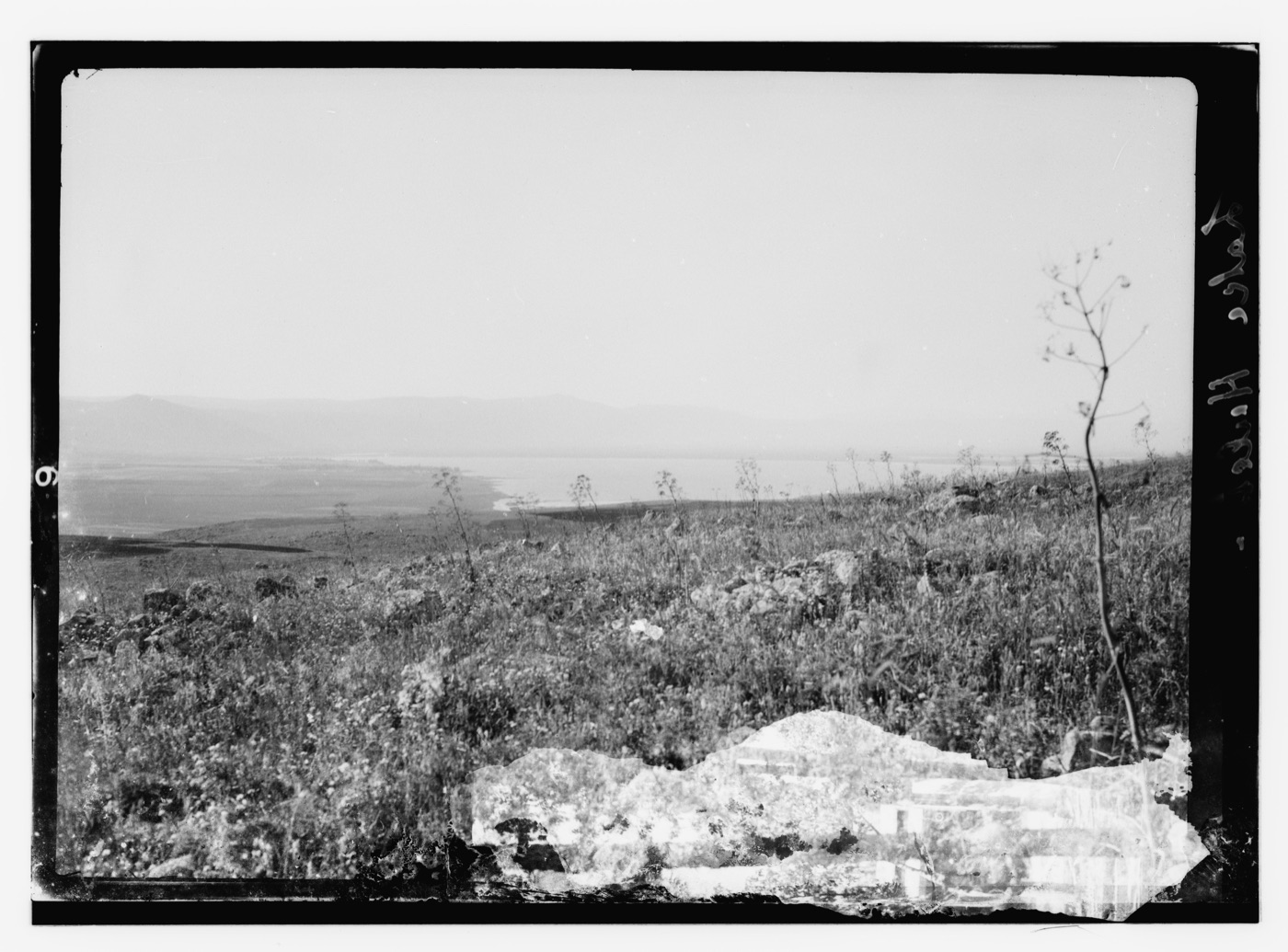 The Huleh marshes in 1935: stony, scrub-covered wetland stretching toward open water, with hills in the distance